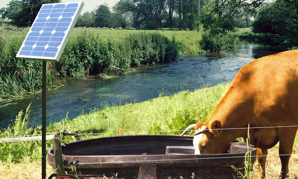 Solar Solutions For Government Regulations