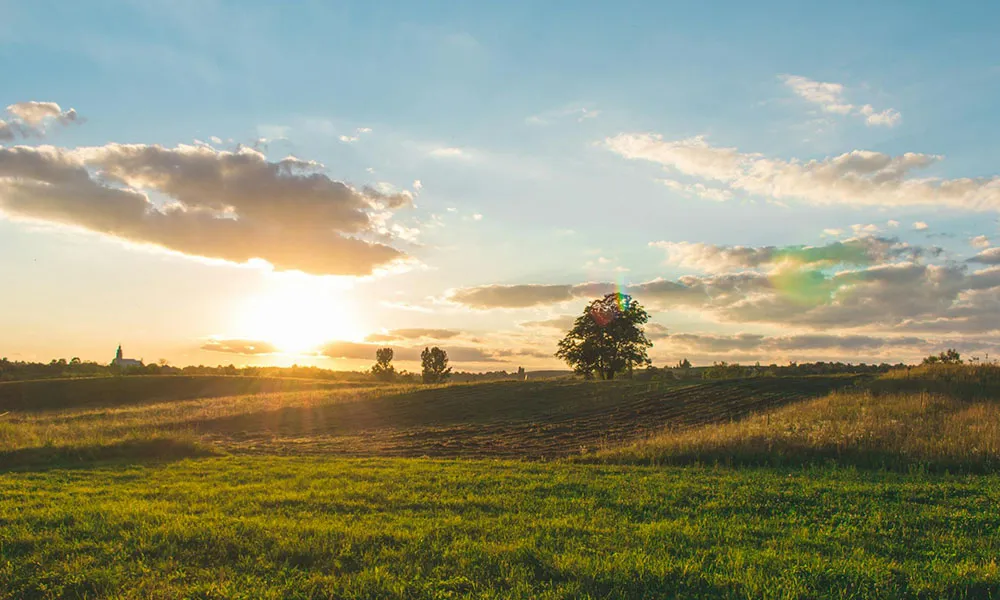 CAP Network Ireland launches new survey for farmers