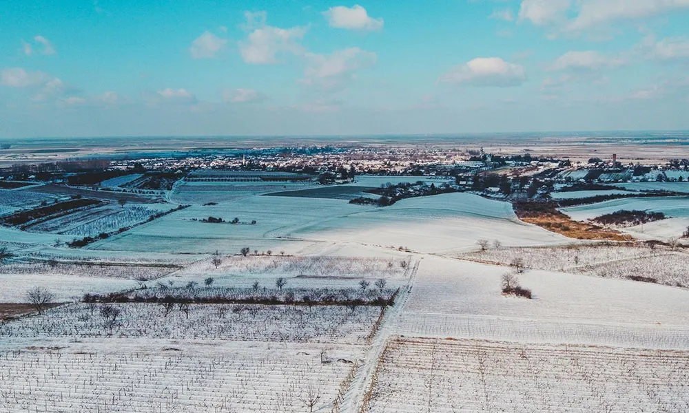 Farming in winter: top tips for the cold snap