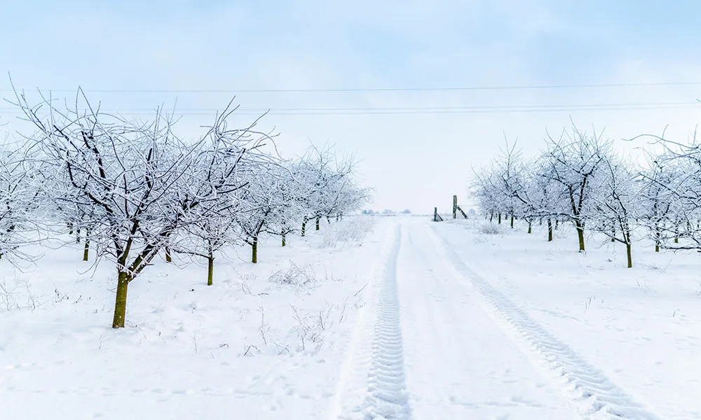 Agridirect's Top Tips for Cold Weather Farming